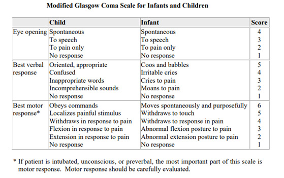 Modified Glasgow Coma Scale for Infants and Children